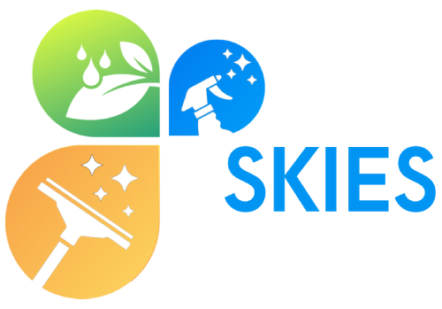 7skies-logo